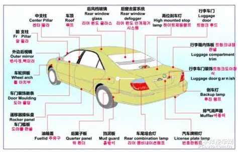 有什麼車|汽车